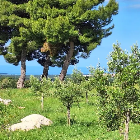Tatil Evi Casa Dell' Armonia Poreč
