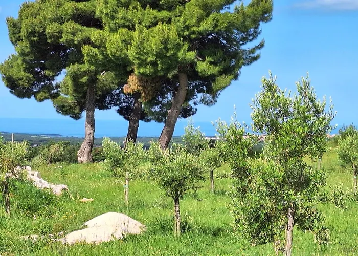 펜션 Casa Dell' Armonia 포레치